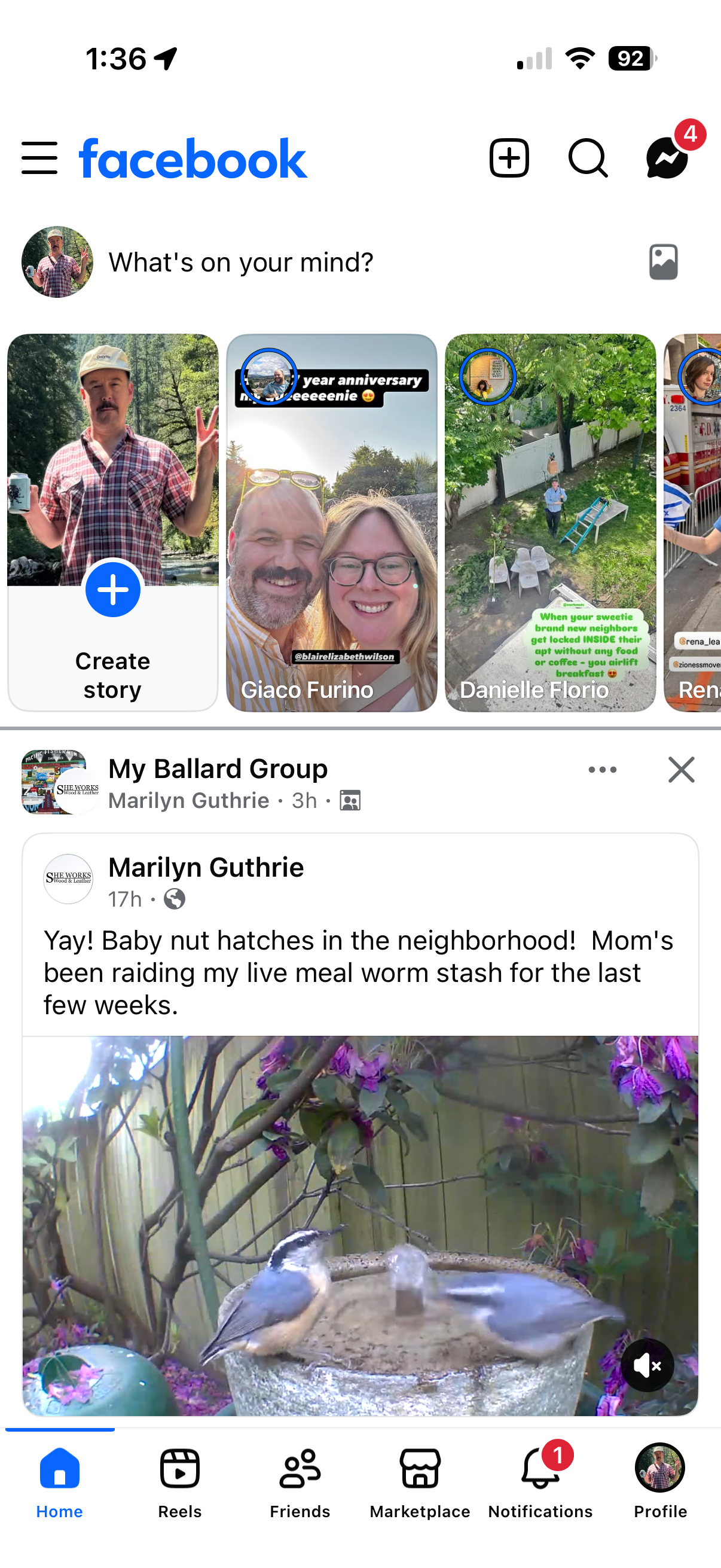 Facebook Feed